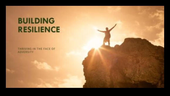 Reziliența în afaceri Cum să prosperați în fața provocărilor 3 Reziliența în afaceri: prosperă în fața provocărilor