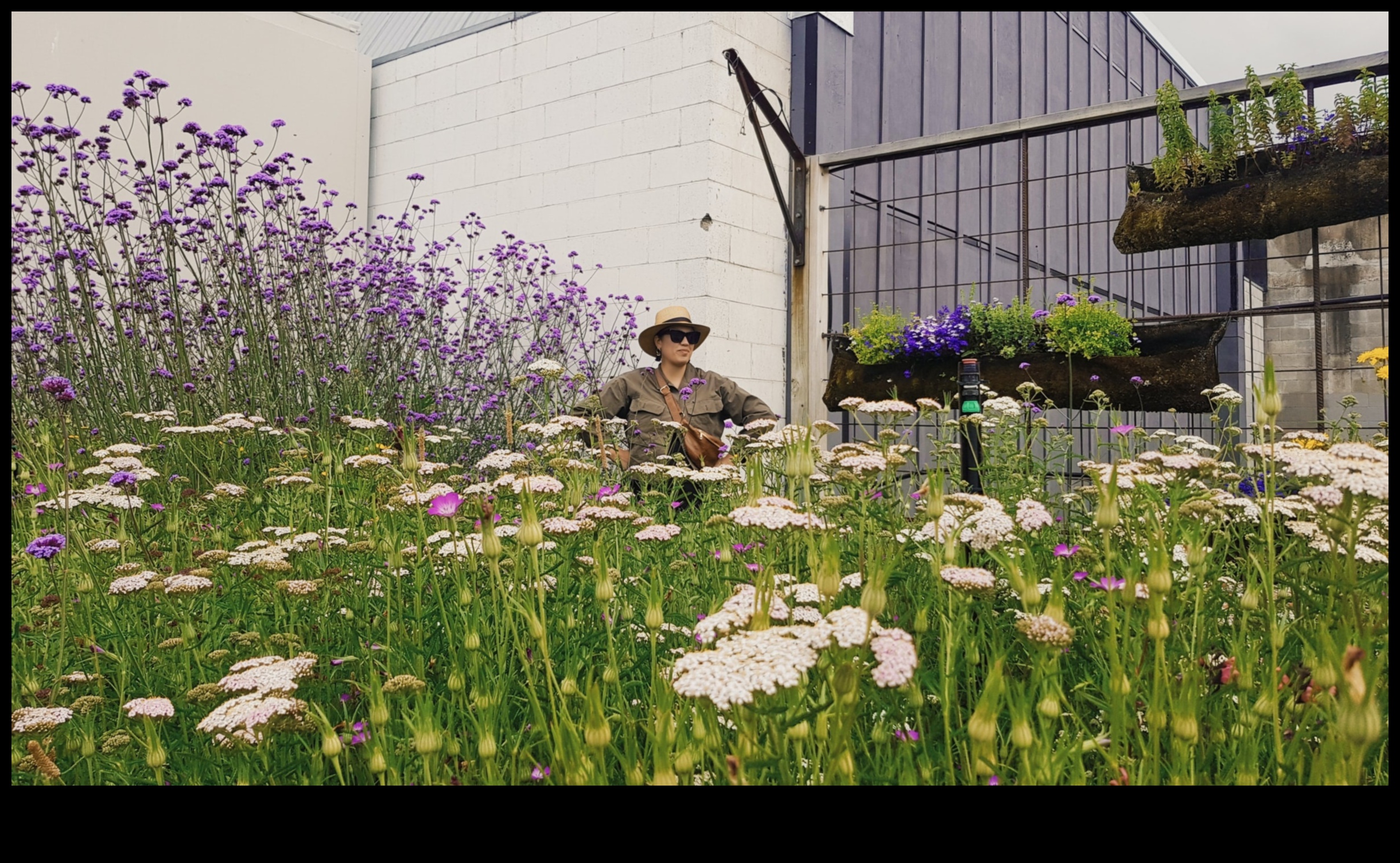 Grădină Gems: Deblocarea secretelor Pro Garden Care