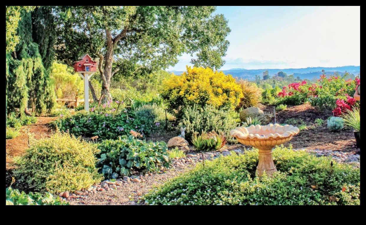 Grădină Gems: Deblocarea secretelor Pro Garden Care