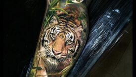 Cerneală sălbatică: explorați jungla tatuajelor animale