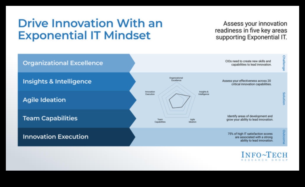 Excelență în inovare: dezlănțuirea puterii evoluției strategice a afacerilor