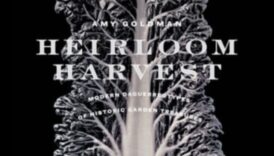 Heirloom Harvests: farmecul atemporal al grădiniței ecologice