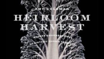 Heirloom Harvests: farmecul atemporal al grădiniței ecologice