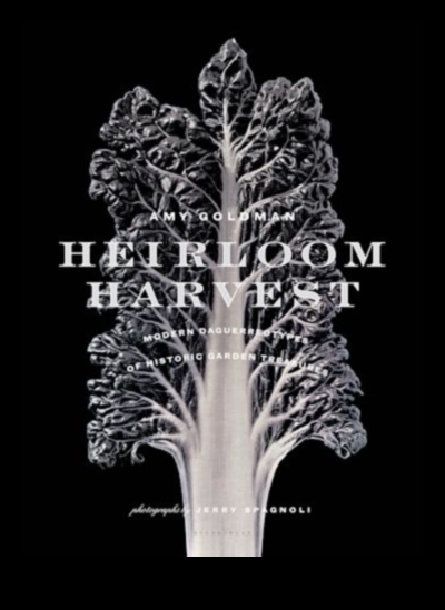 Heirloom recoltează o tradiție atemporală în grădinărit ecologic 1 Heirloom Harvests: farmecul atemporal al grădiniței ecologice