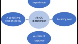 Înțelepții în afaceri: perspective de la liderii care au navigat în călătoria leadershipului