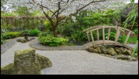 Poduri de mușchi și poteci zen: feerie de grădină japoneză