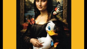 Renașterea digitală: diagramarea noilor teritorii cu Web 2.0